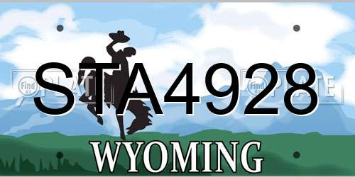 STA4928 Wyoming License Plate