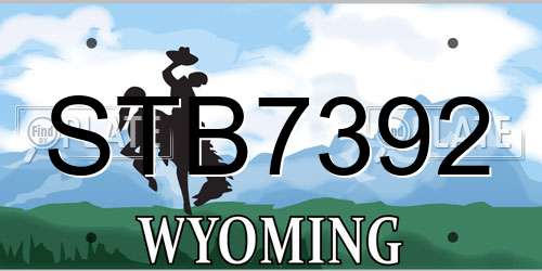 STB7392 Wyoming License Plate