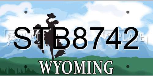 STB8742 Wyoming License Plate