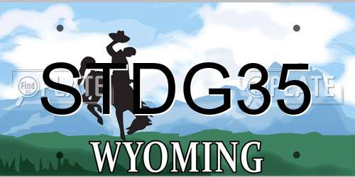 STDG35 Wyoming License Plate