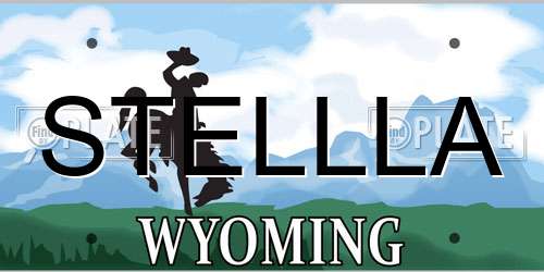 STELLLA Wyoming License Plate