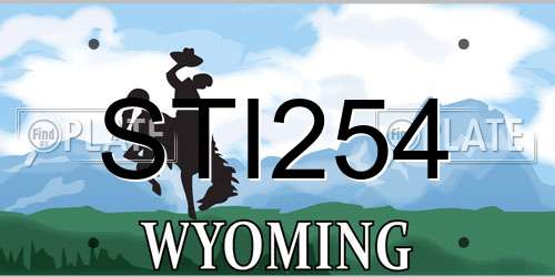 STI254 Wyoming License Plate