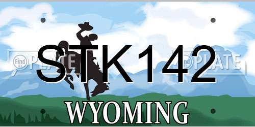 STK142 Wyoming License Plate