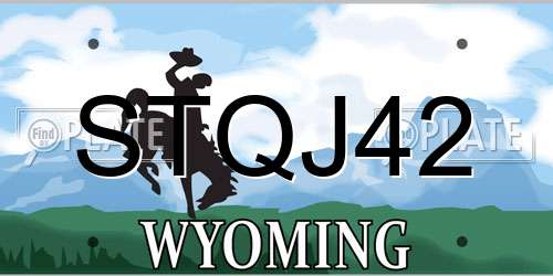 STQJ42 Wyoming License Plate