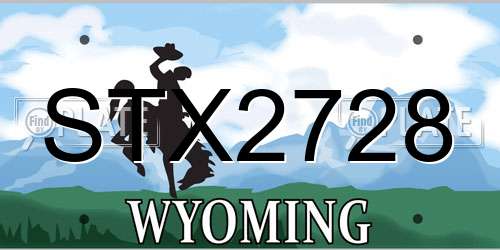 STX2728 Wyoming License Plate