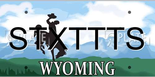 STXTTTS Wyoming License Plate