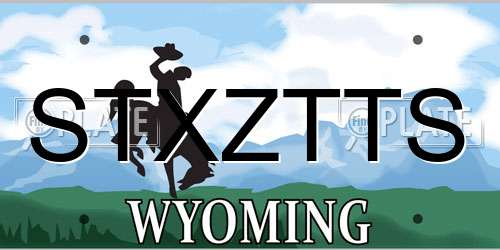 STXZTTS Wyoming License Plate