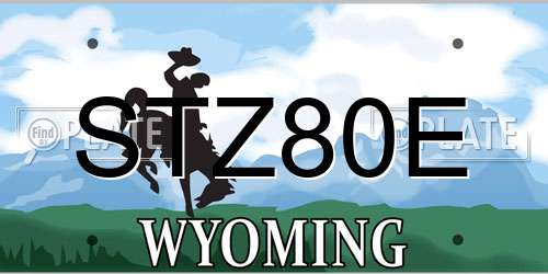 STZ80E Wyoming License Plate