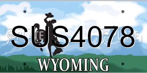 SUS4078 Wyoming License Plate