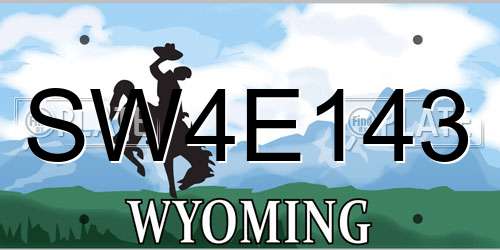 SW4E143 Wyoming License Plate