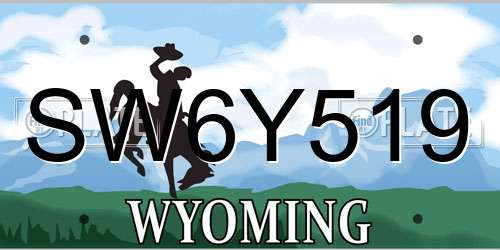SW6Y519 Wyoming License Plate