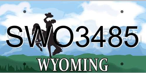 SWO3485 Wyoming License Plate