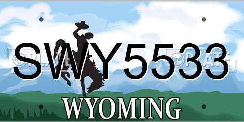 SWY5533 Wyoming License Plate