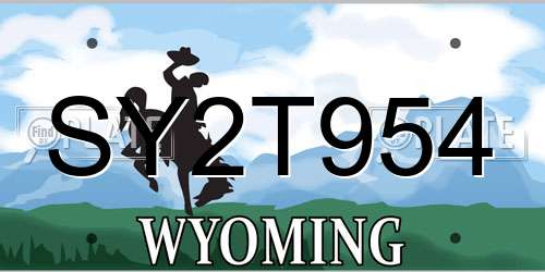 SY2T954 Wyoming License Plate