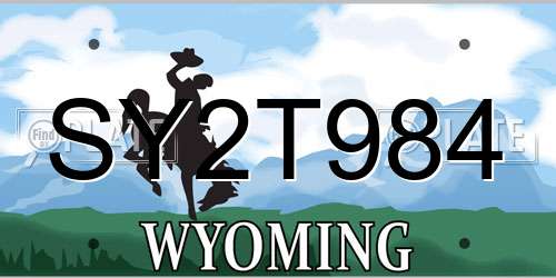 SY2T984 Wyoming License Plate