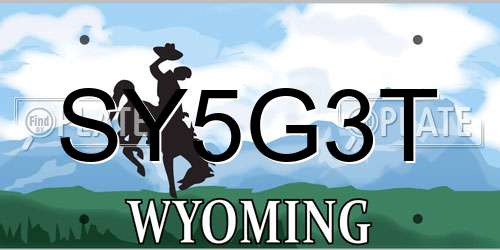 SY5G3T Wyoming License Plate