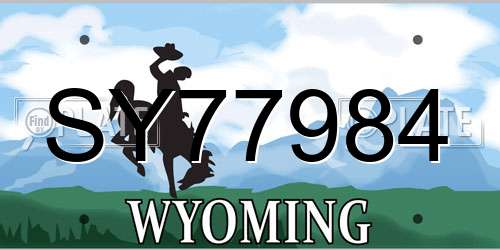 SY77984 Wyoming License Plate