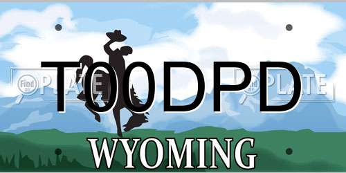 T00DPD Wyoming License Plate