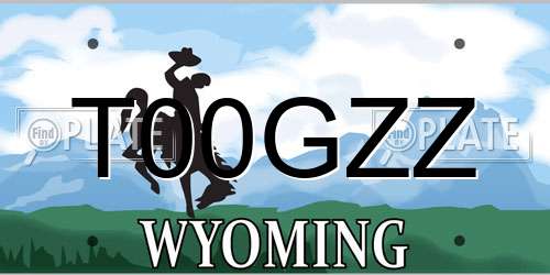 T00GZZ Wyoming License Plate