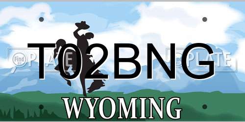 T02BNG Wyoming License Plate
