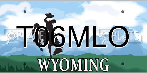 T06MLO Wyoming License Plate