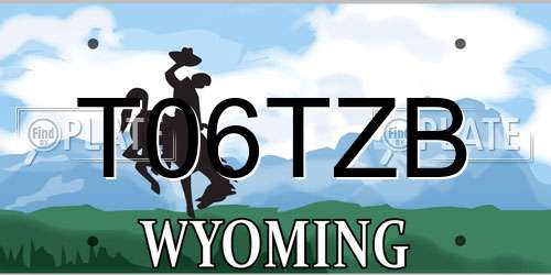 T06TZB Wyoming License Plate
