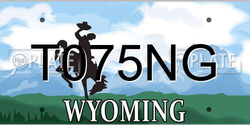 T075NG Wyoming License Plate