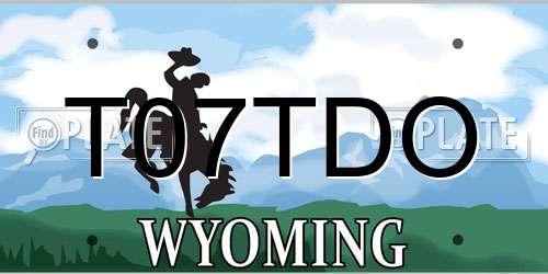 T07TDO Wyoming License Plate