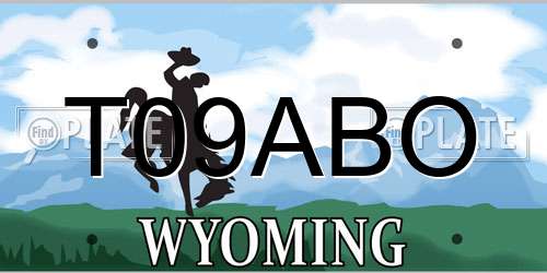 T09ABO Wyoming License Plate