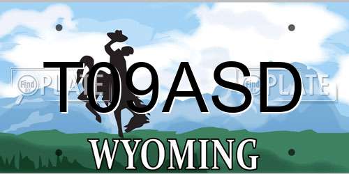 T09ASD Wyoming License Plate