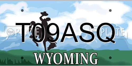 T09ASQ Wyoming License Plate