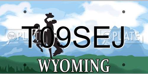 T09SEJ Wyoming License Plate