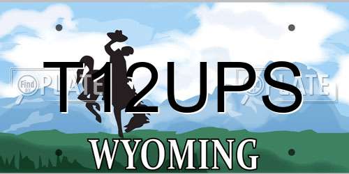 T12UPS Wyoming License Plate