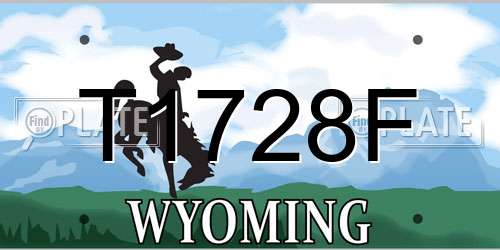 T1728F Wyoming License Plate