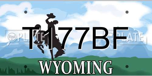 T177BF Wyoming License Plate