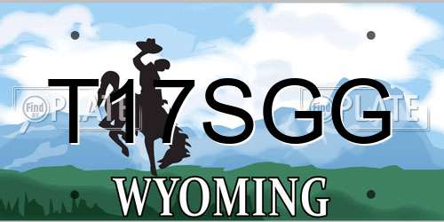 T17SGG Wyoming License Plate