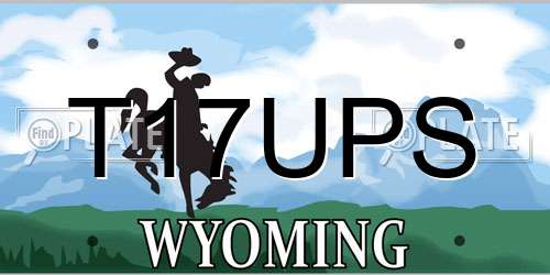T17UPS Wyoming License Plate