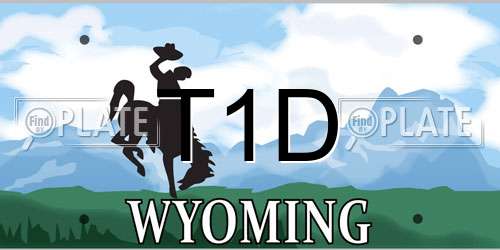 T1D Wyoming License Plate