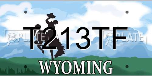 T213TF Wyoming License Plate