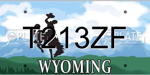 T213ZF Wyoming License Plate