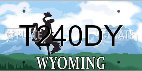 T240DY Wyoming License Plate