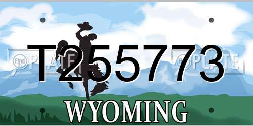 T255773 Wyoming License Plate