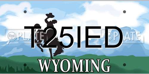T25IED Wyoming License Plate