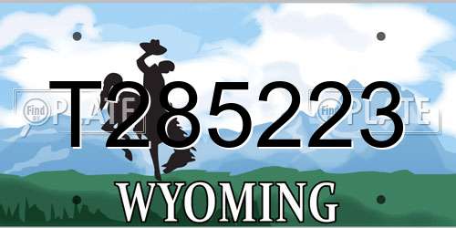 T285223 Wyoming License Plate