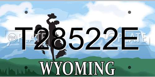 T28522E Wyoming License Plate