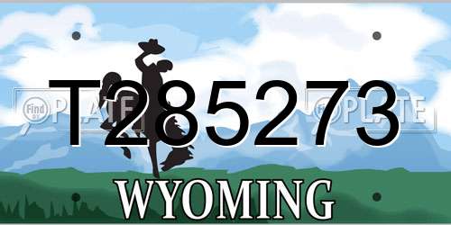 T285273 Wyoming License Plate