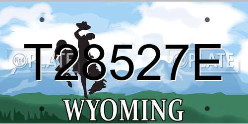 T28527E Wyoming License Plate