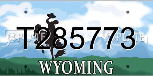 T285773 Wyoming License Plate