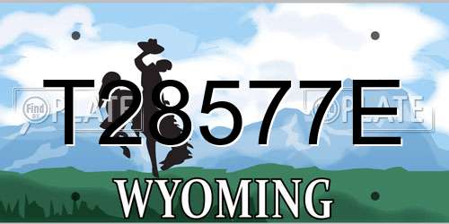 T28577E Wyoming License Plate