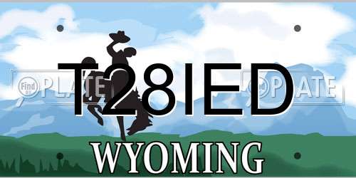 T28IED Wyoming License Plate
